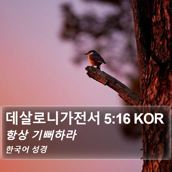 데살로니가전서 5:16 KOR Bible Study