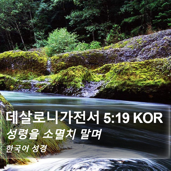 데살로니가전서 5:19 KOR Bible Study