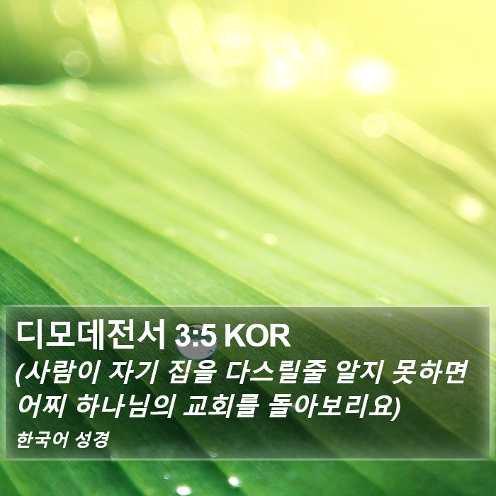 디모데전서 3:5 KOR Bible Study
