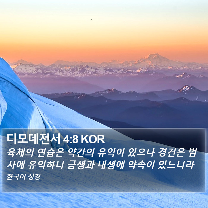 디모데전서 4:8 KOR Bible Study