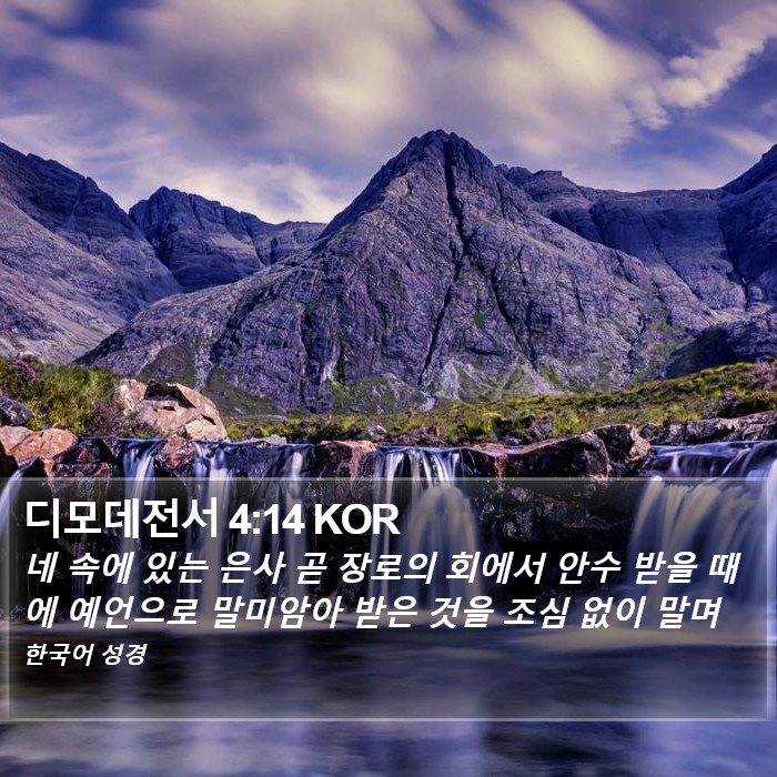 디모데전서 4:14 KOR Bible Study
