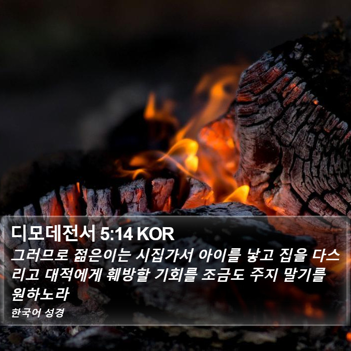 디모데전서 5:14 KOR Bible Study