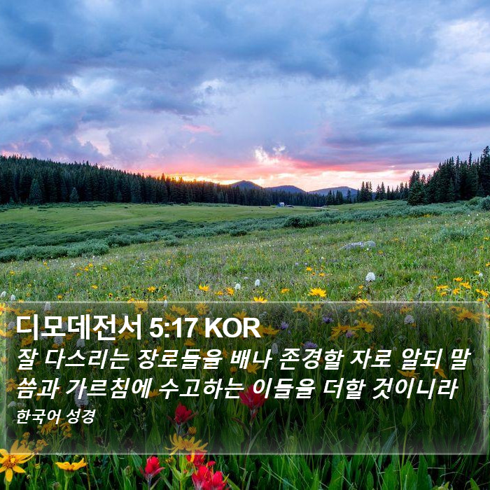 디모데전서 5:17 KOR Bible Study