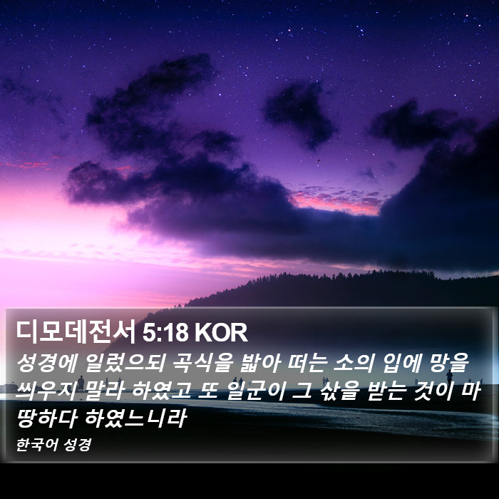 디모데전서 5:18 KOR Bible Study