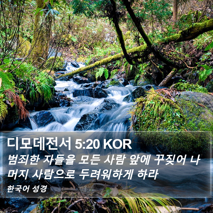 디모데전서 5:20 KOR Bible Study