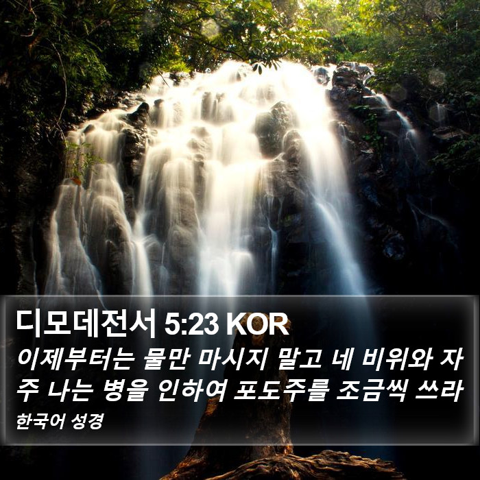 디모데전서 5:23 KOR Bible Study