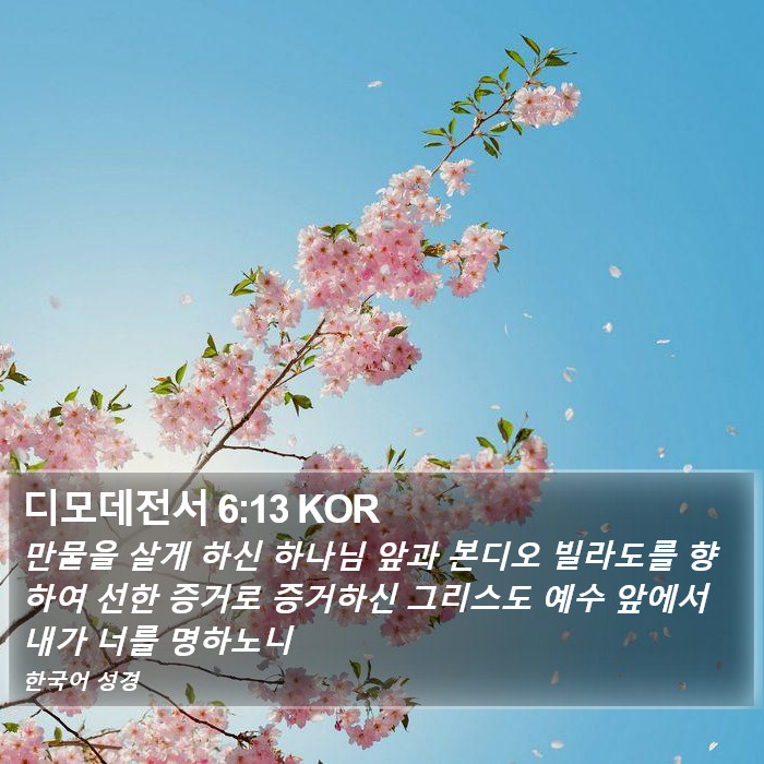 디모데전서 6:13 KOR Bible Study