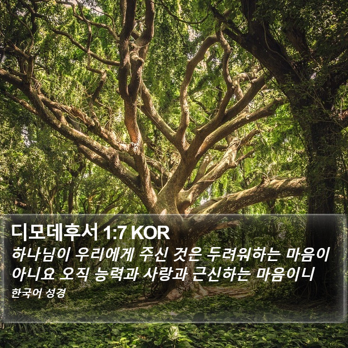 디모데후서 1:7 KOR Bible Study