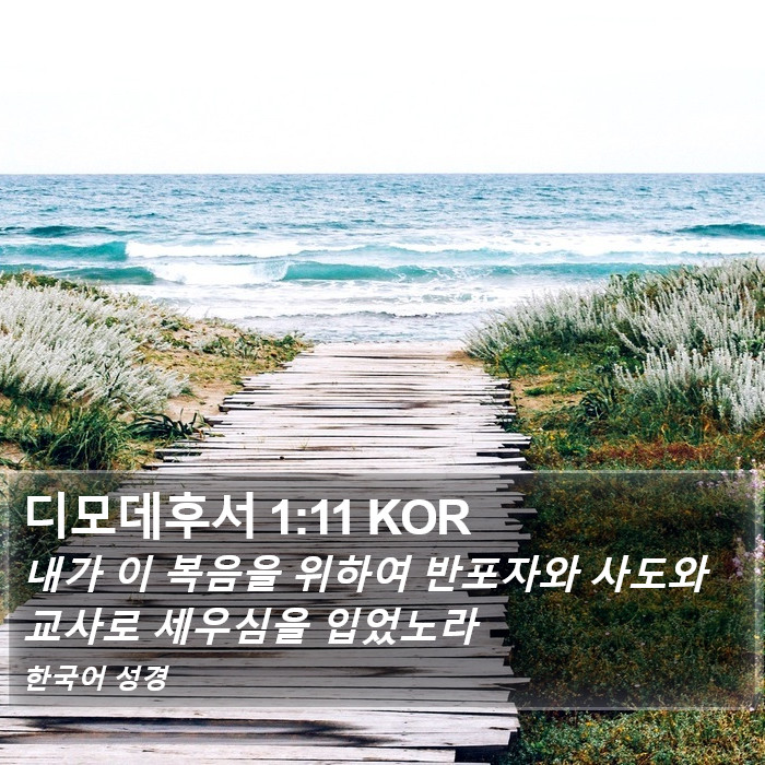 디모데후서 1:11 KOR Bible Study