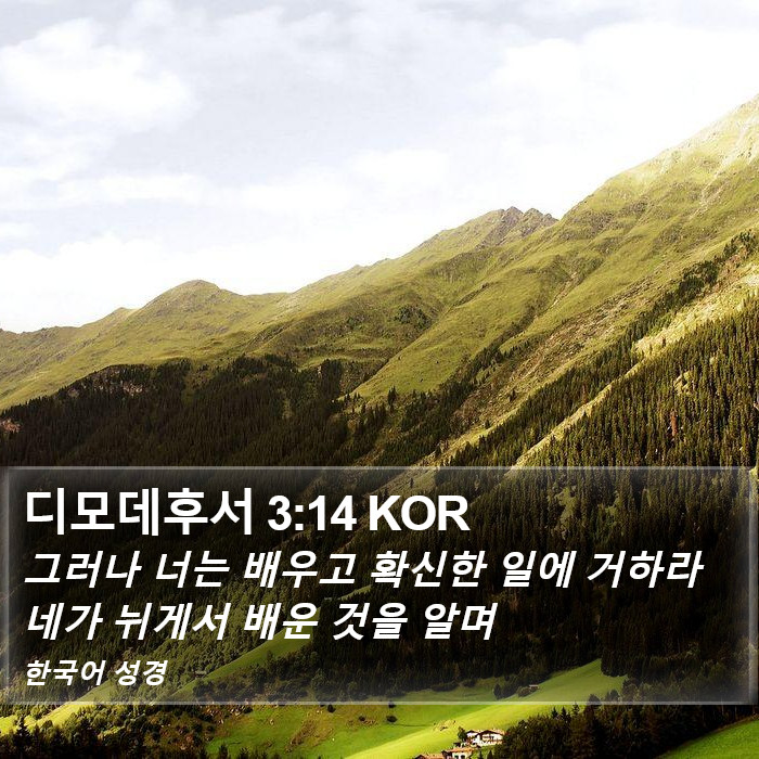 디모데후서 3:14 KOR Bible Study