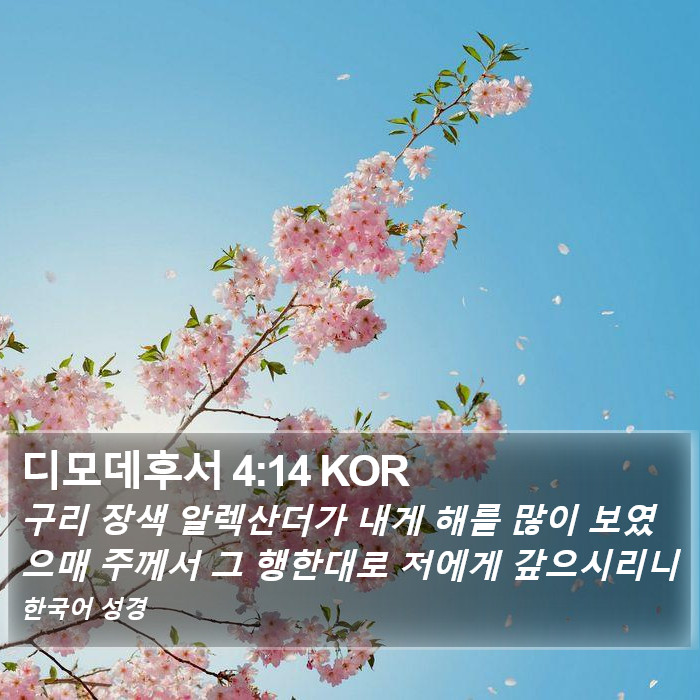 디모데후서 4:14 KOR Bible Study