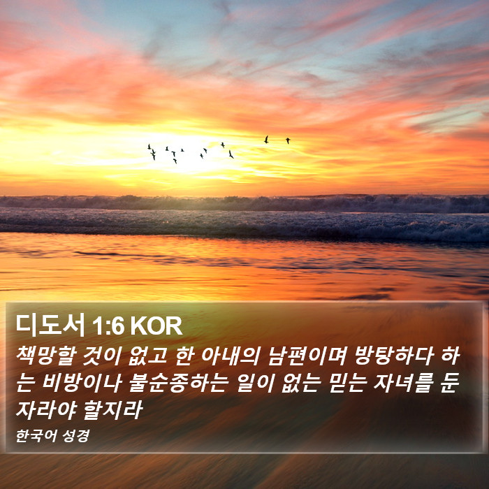 디도서 1:6 KOR Bible Study