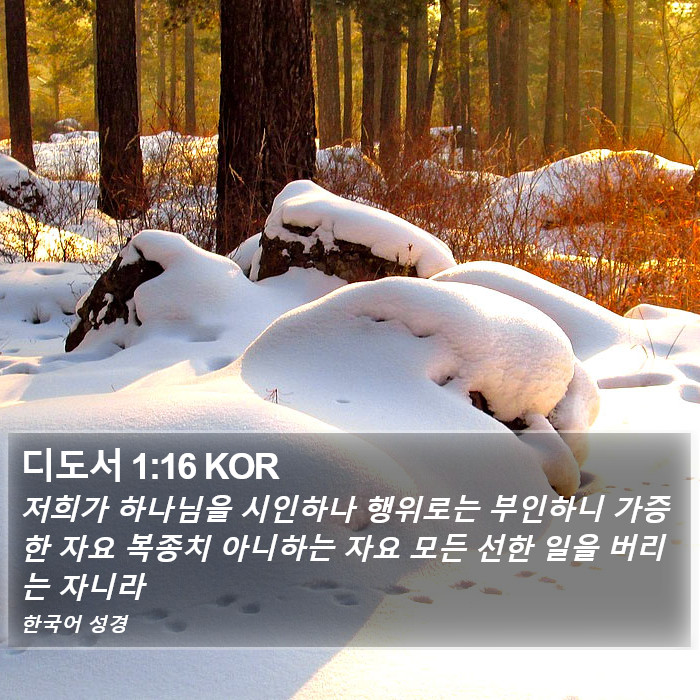 디도서 1:16 KOR Bible Study