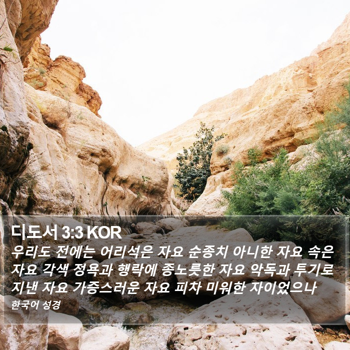 디도서 3:3 KOR Bible Study
