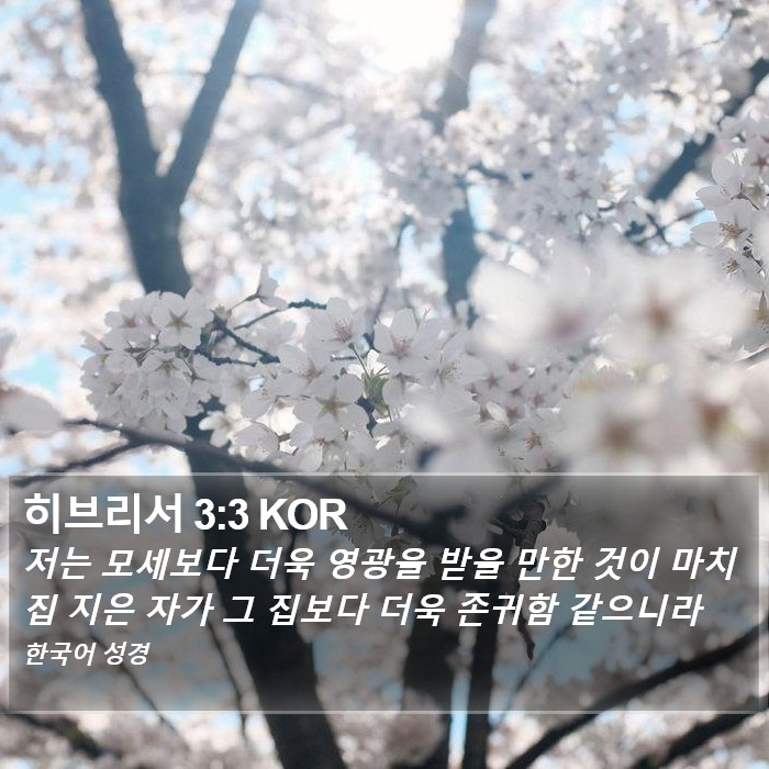 히브리서 3:3 KOR Bible Study