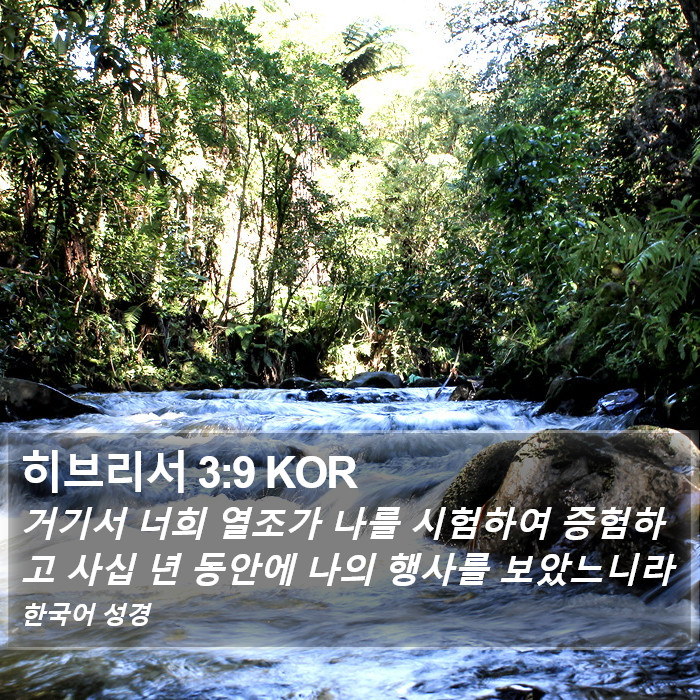 히브리서 3:9 KOR Bible Study