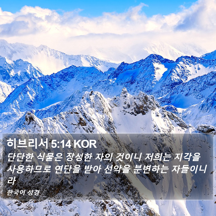 히브리서 5:14 KOR Bible Study