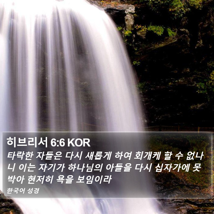 히브리서 6:6 KOR Bible Study