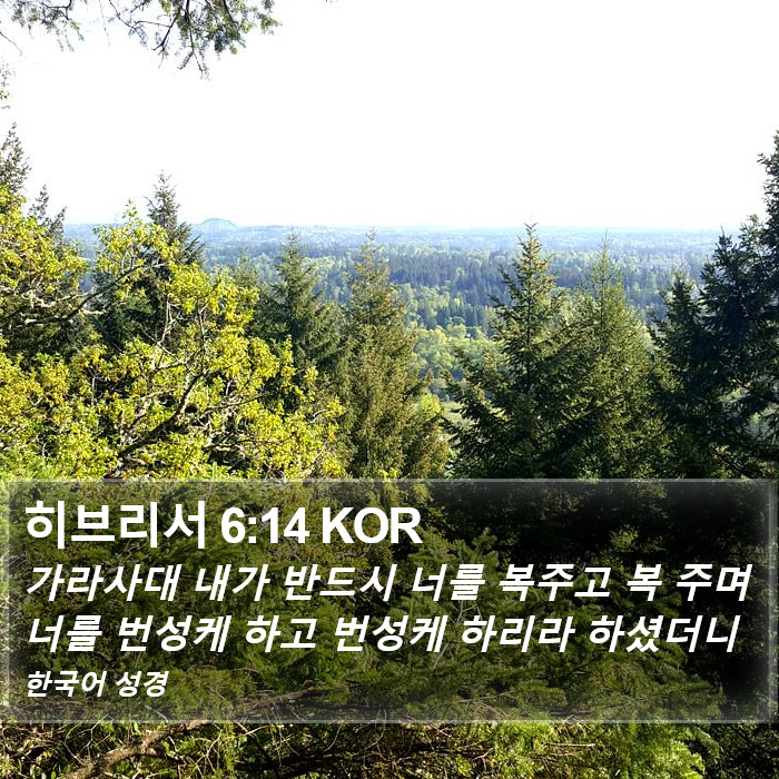 히브리서 6:14 KOR Bible Study