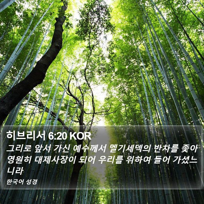 히브리서 6:20 KOR Bible Study