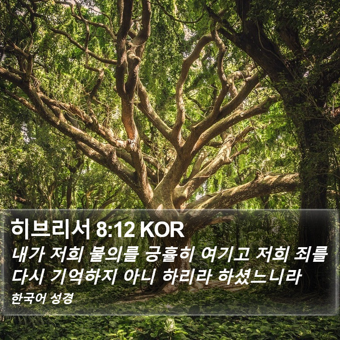 히브리서 8:12 KOR Bible Study