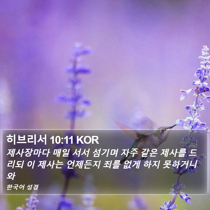 히브리서 10:11 KOR Bible Study