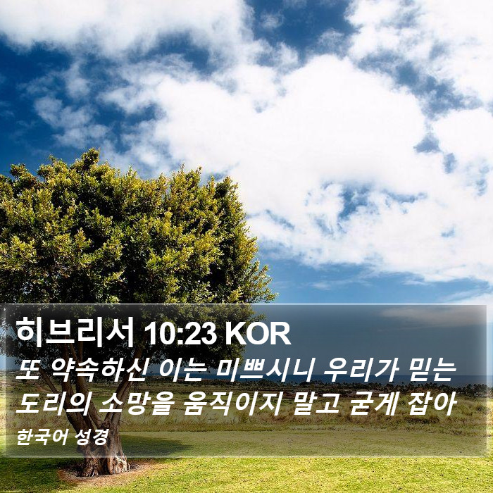 히브리서 10:23 KOR Bible Study