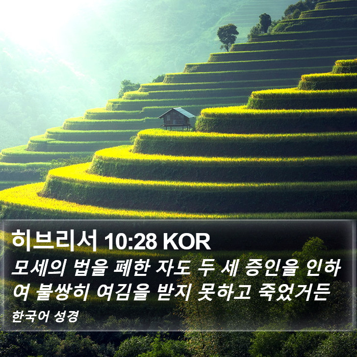 히브리서 10:28 KOR Bible Study