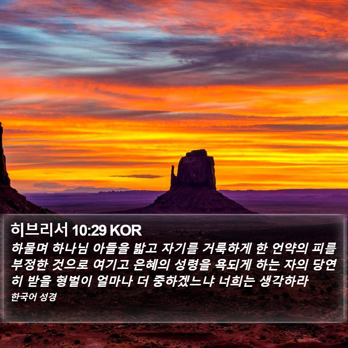 히브리서 10:29 KOR Bible Study