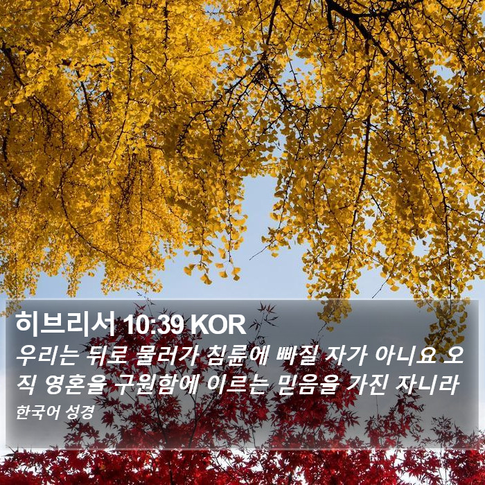 히브리서 10:39 KOR Bible Study