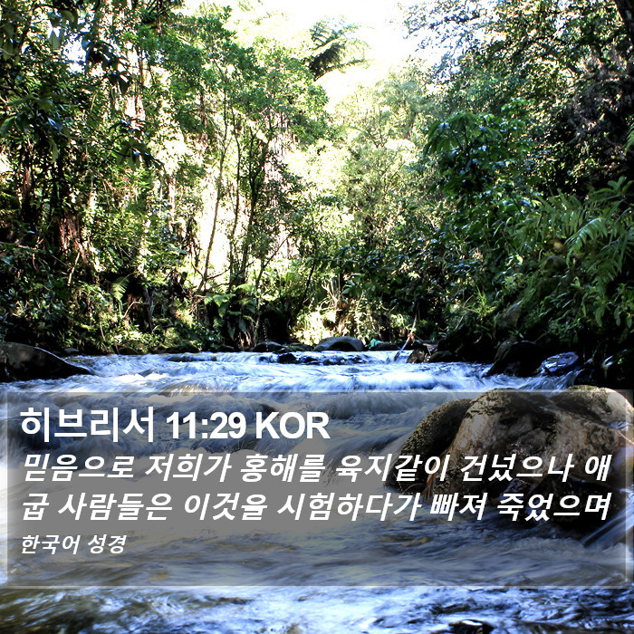 히브리서 11:29 KOR Bible Study