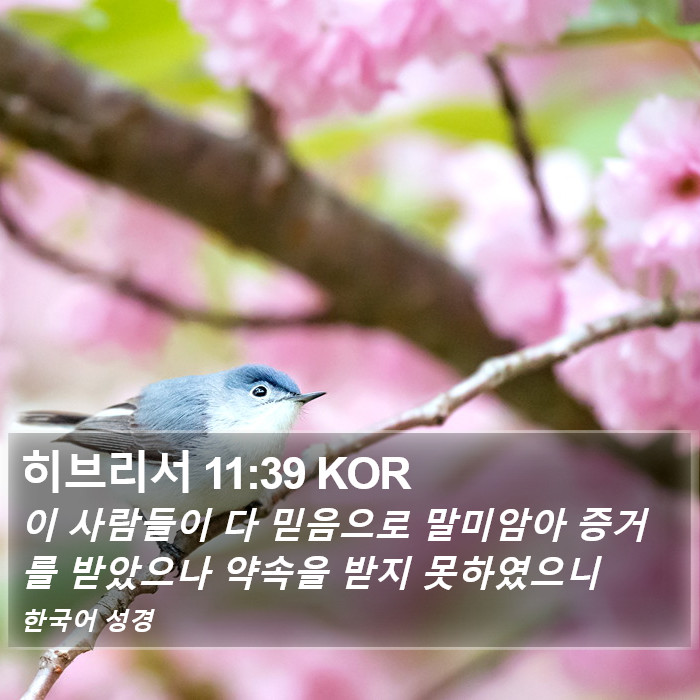 히브리서 11:39 KOR Bible Study