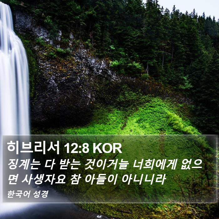 히브리서 12:8 KOR Bible Study