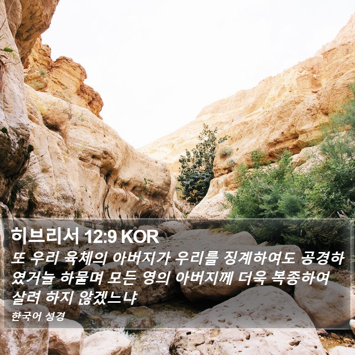 히브리서 12:9 KOR Bible Study