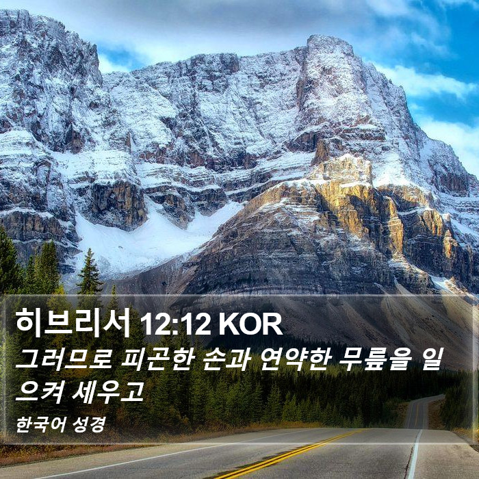 히브리서 12:12 KOR Bible Study