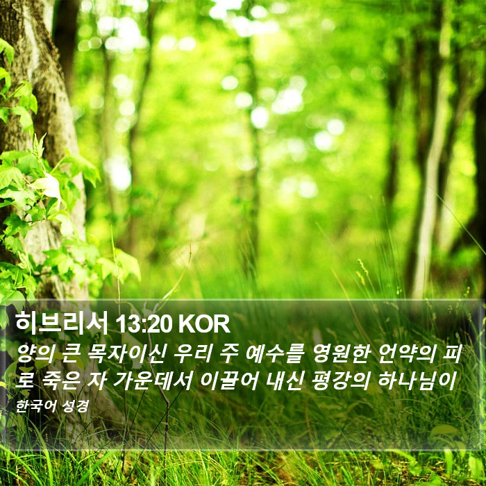 히브리서 13:20 KOR Bible Study