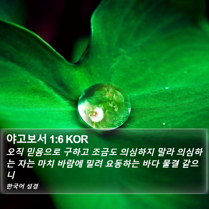 야고보서 1:6 KOR Bible Study