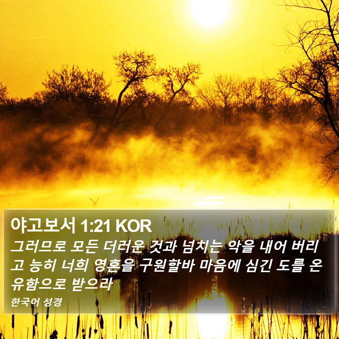 야고보서 1:21 KOR Bible Study