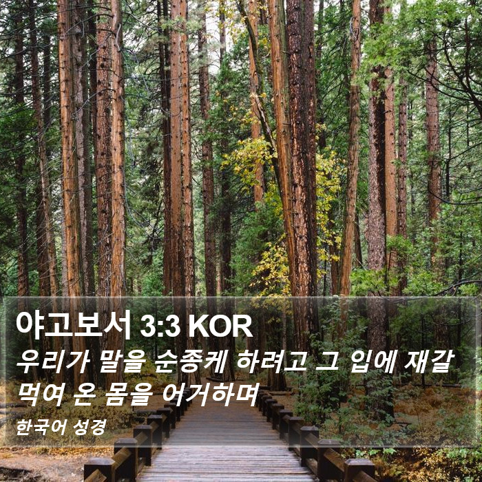 야고보서 3:3 KOR Bible Study