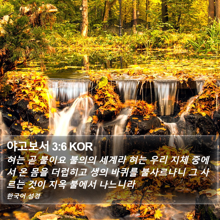 야고보서 3:6 KOR Bible Study