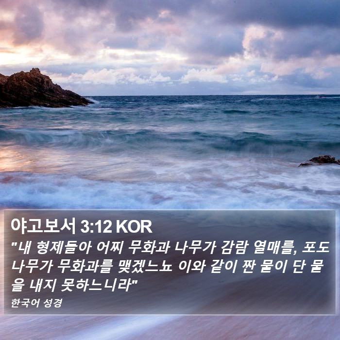 야고보서 3:12 KOR Bible Study