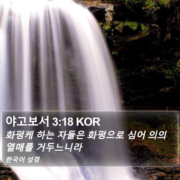 야고보서 3:18 KOR Bible Study