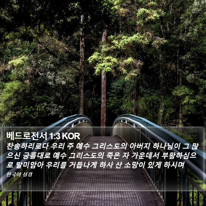 베드로전서 1:3 KOR Bible Study