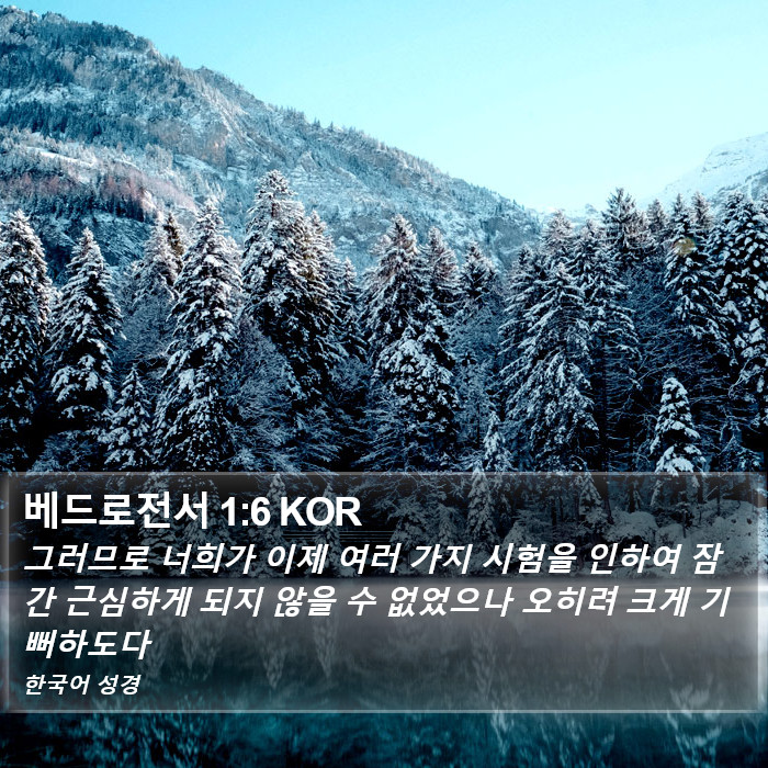 베드로전서 1:6 KOR Bible Study