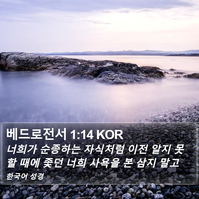 베드로전서 1:14 KOR Bible Study