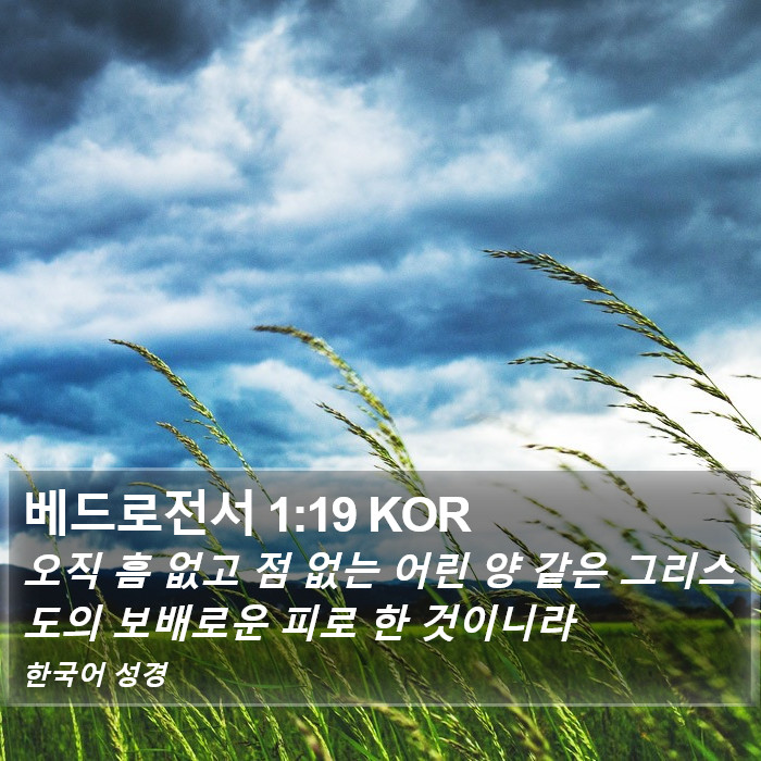 베드로전서 1:19 KOR Bible Study