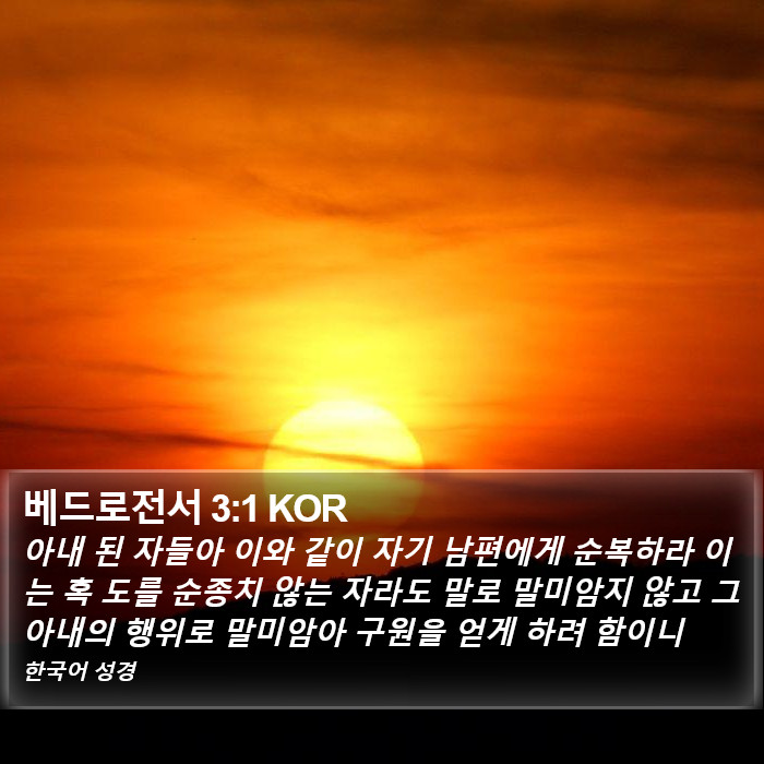 베드로전서 3:1 KOR Bible Study