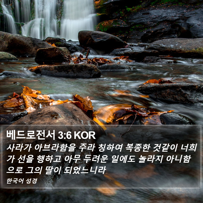 베드로전서 3:6 KOR Bible Study