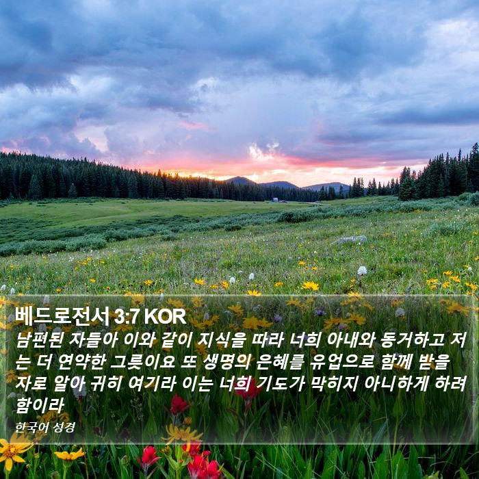 베드로전서 3:7 KOR Bible Study