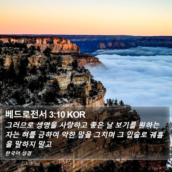 베드로전서 3:10 KOR Bible Study